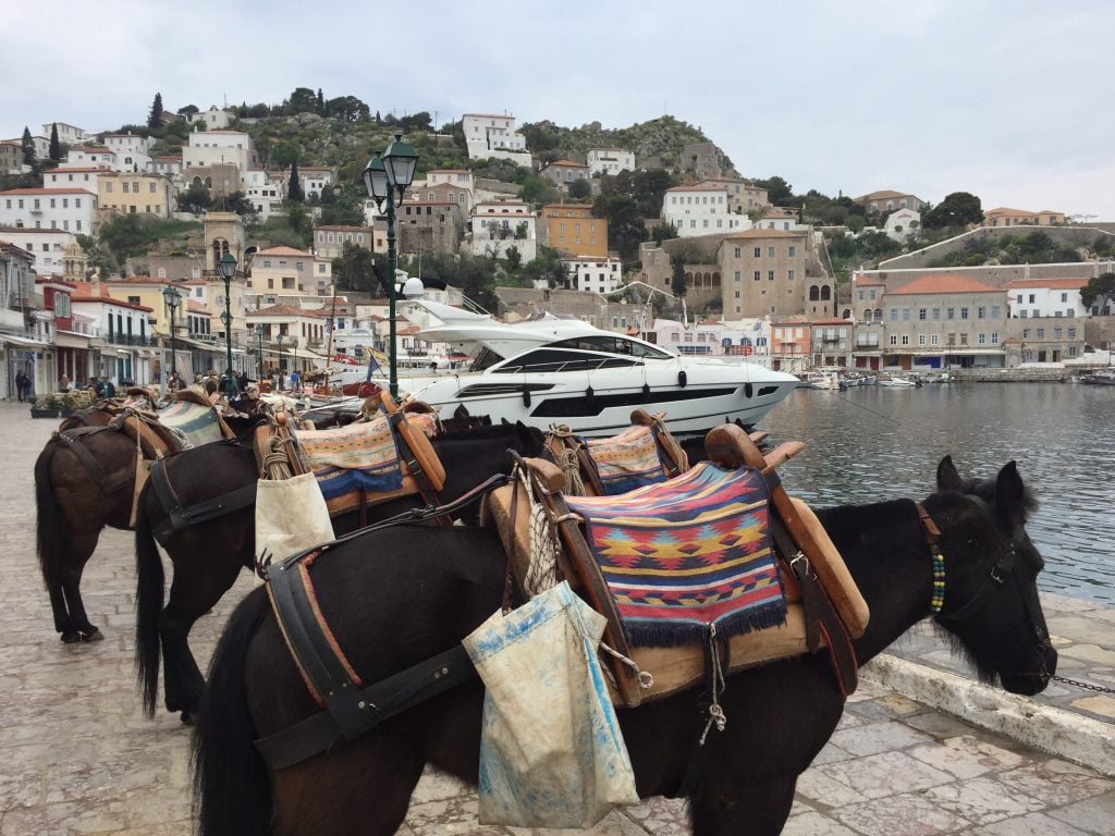 Charter bottom shot right